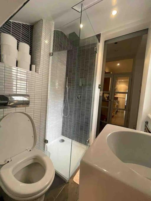 Large Studio Flat In Kensington Londra Exterior foto